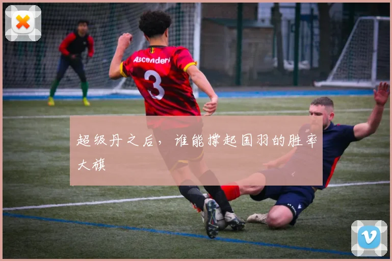 超级丹之后，谁能撑起国羽的胜率大旗