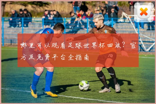 哪里可以观看足球世界杯回放？官方及免费平台全指南